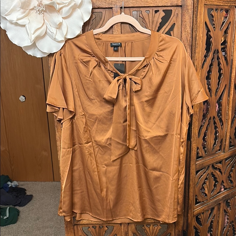 Caramel Satin Tie-Neck Blouse